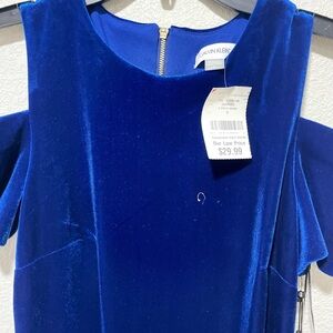 Calvin Klein Sapphire Velvet Dress